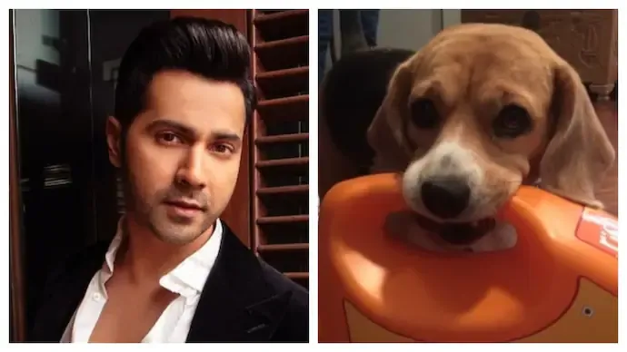 Varun Dhawan grieves the loss of his pet dog in emotional post: RIP Angel