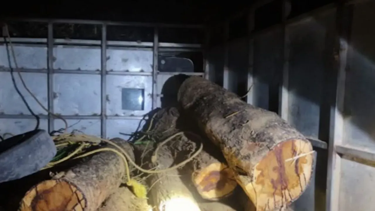 Timber mafia snatch seized vehicle from Forest Department in Balasore