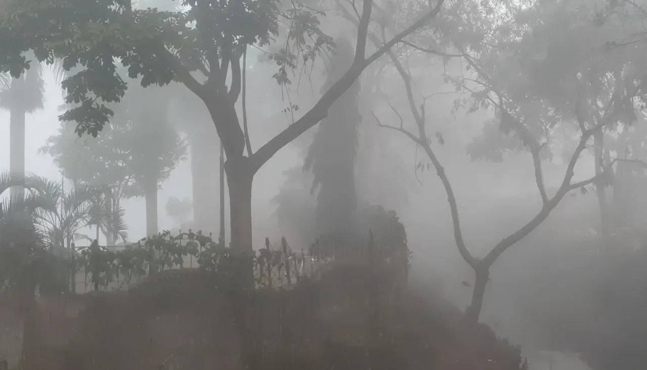 Severe cold wave, dense fog grip Odisha; Koraput shivers at 4.8°C, IMD issues yellow warning