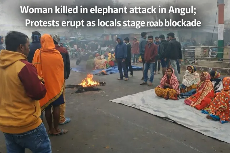 Woman Killed in Elephant Attack in Angul; Protests Erupt as Locals Block Roads