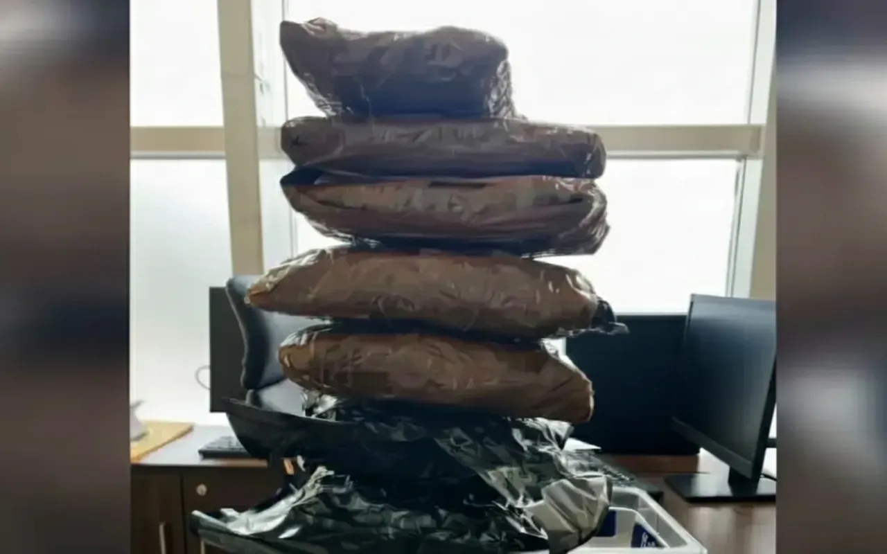 Rs 4 crore worth of marijuana seized at Bhubaneswar airport; New Year supply angle suspected