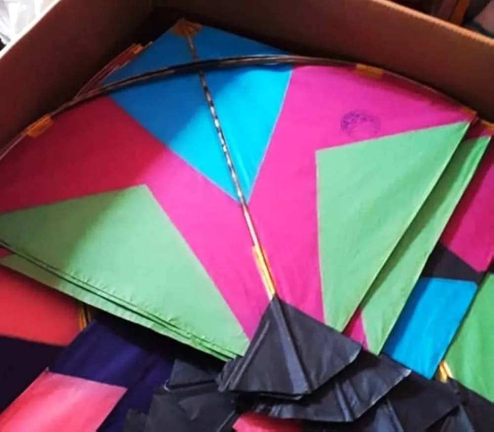 Puri Police Clamp Down on Sale of Chinese Manja Ahead of Makar Sankranti