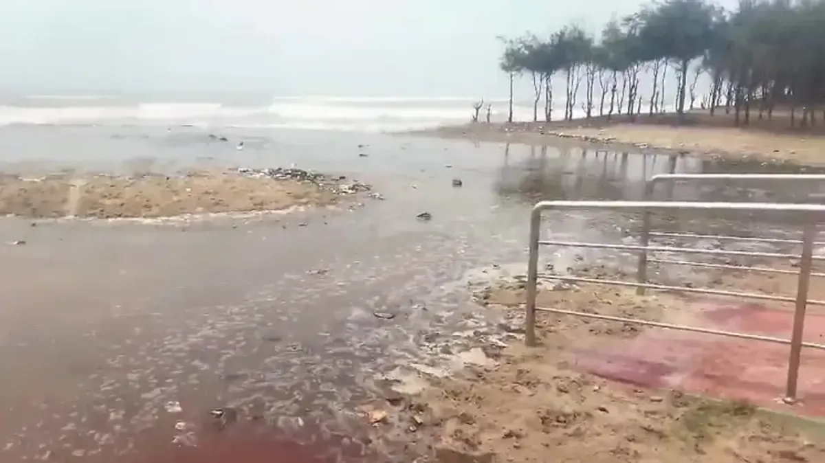 Odisha Tourism Proposes Rs 9-Crore Plan to Develop Paradip–Siali Coast for Blue Flag Tag