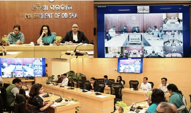Develop Each District as Economic Growth Hub: Odisha Chief Secretary Anu Garg to Collectors