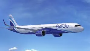 Govt Invites Airlines to Apply for IndiGo’s Vacated Domestic Flight Slots After Winter Schedule Cuts
