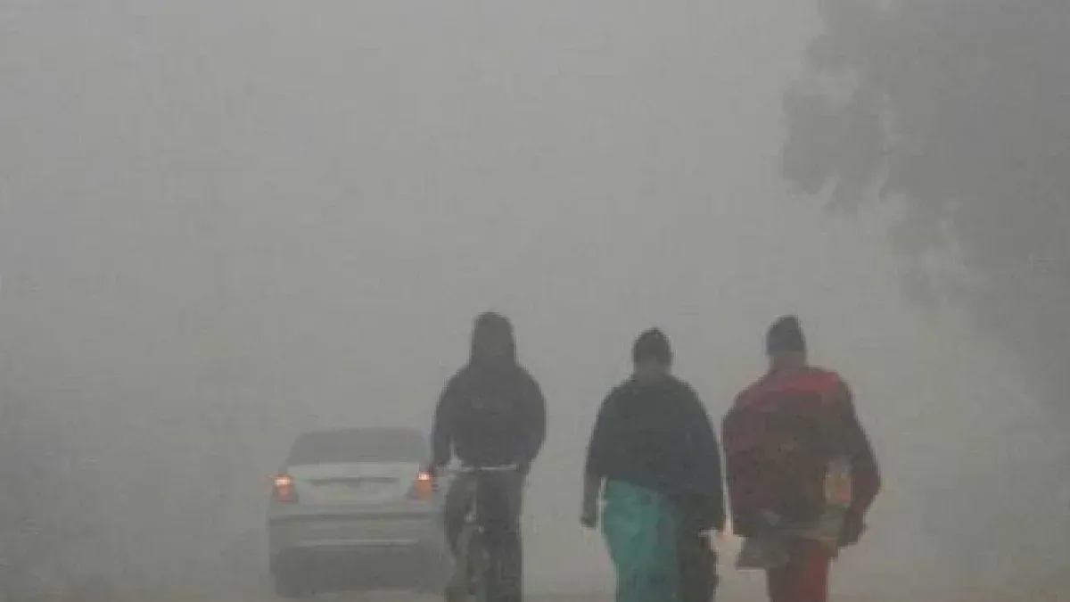 Dense Fog Engulfs Odisha as Cold Wave Eases, Disrupting Morning Life