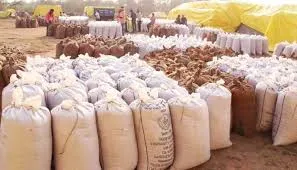 Pushpuni Festivities Marred by Paddy Procurement Issues in Odisha’s Bolangir