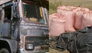 Balasore Officials Seize 1,800 Bags of Paddy in Foiled Cross-Border Smuggling Attempt