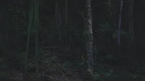 Clash over extortion triggers tension in Odisha’s Balasore