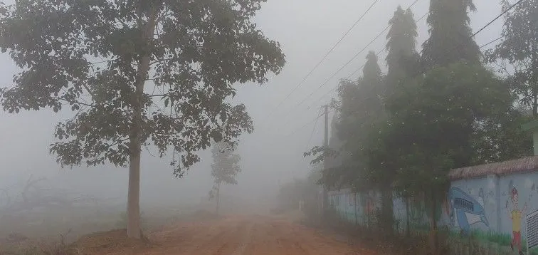 Cold wave to intensify across Odisha; night temperatures to drop further.