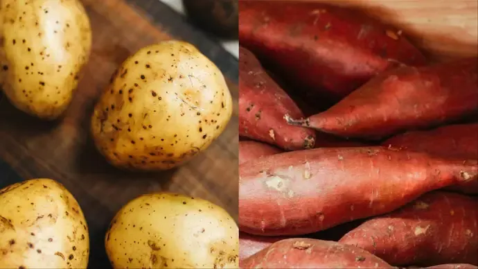 Sweet potato vs white potato: What your gut really needs