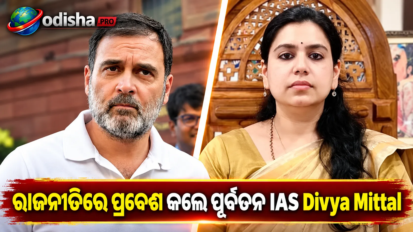 ରାଜନୀତିରେ ପ୍ରବେଶ କଲେ ପୂର୍ବତନ IAS Divya Mittal, କୌଣସି ଦଳରେ ଯୋଗ ଦେବେନି ବୋଲି କଲେ ସ୍ପଷ୍ଟ
