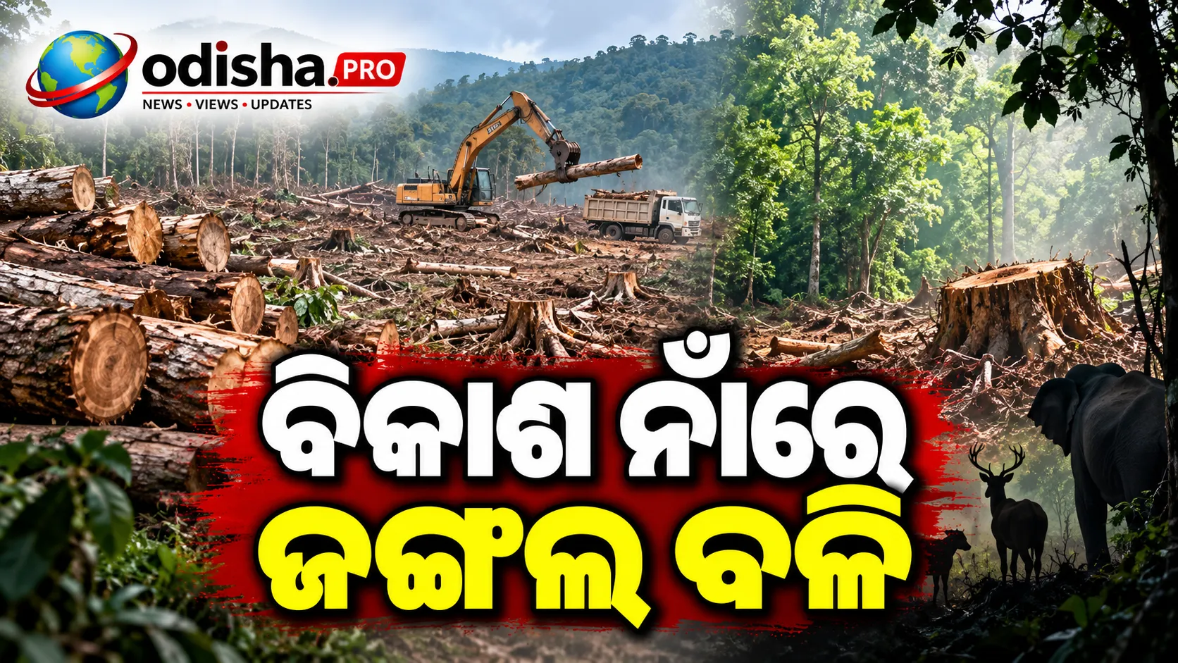 ବିକାଶ ନାଁରେ ଜଙ୍ଗଲ ବଳି, ପରିବେଶ ସୁରକ୍ଷାକୁ ନେଇ ଉଠିଲା ପ୍ରଶ୍ନ