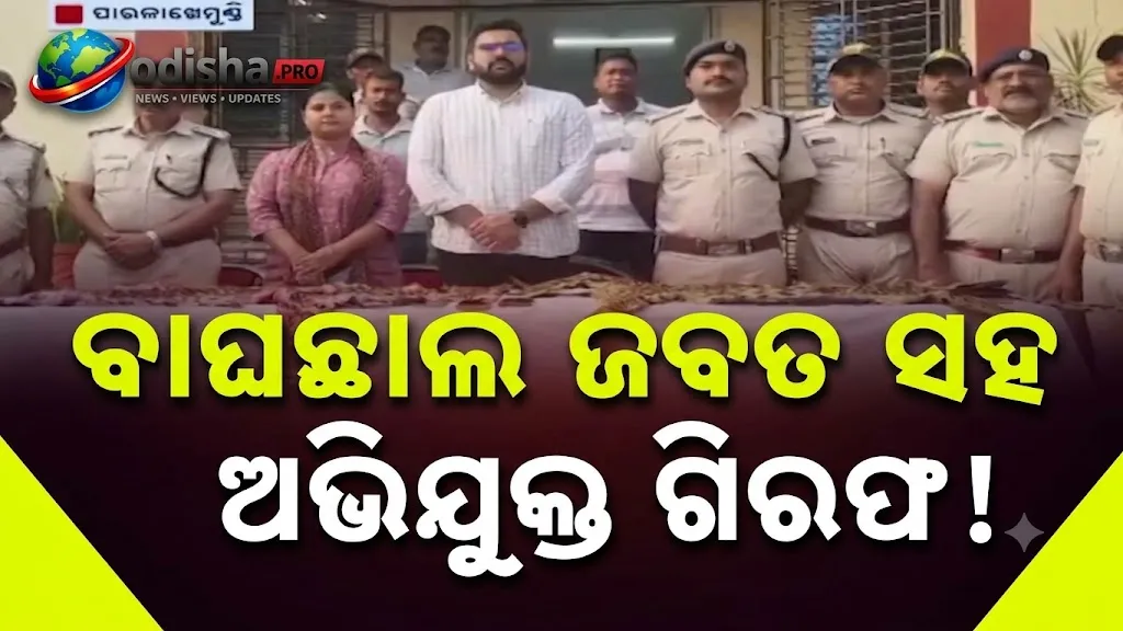 ବାଘଛାଲ ଚୋରା କାରବାରର ପର୍ଦ୍ଦାଫାସ୍, ୨ଟି କଲରାପତରିଆ ବାଘଛାଲ ଜବତ, ୬ ଗିରଫ