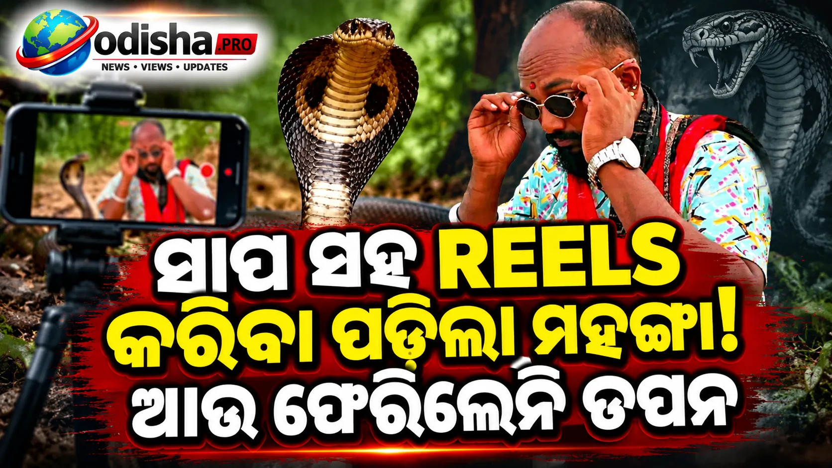 ସାପ ଧରିବାରେ ଥିଲେ ମାହିର, ରିଲ୍ସ କରୁଥିବା ବେଳେ ନାଗ ସାପ କାମୁଡ଼ାରେ ଯୁବକଙ୍କ ମୃତ୍ୟୁ