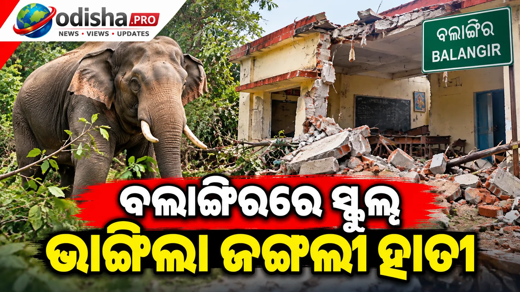 ବଲାଙ୍ଗିରରେ ସ୍କୁଲ୍ ଭାଙ୍ଗିଲା ଜଙ୍ଗଲୀ ହାତୀ, ପିଲାଙ୍କ ସୁରକ୍ଷାକୁ ନେଇ ଚିନ୍ତାରେ ଗ୍ରାମବାସୀ