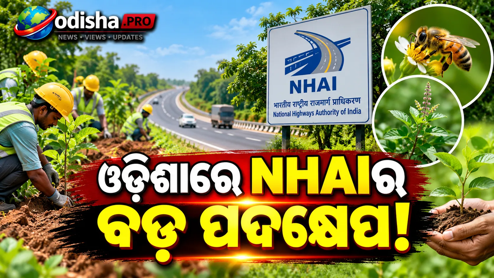 ଓଡ଼ିଶାରେ NHAIର ବଡ଼ ପଦକ୍ଷେପ! ୪ ମାସରେ ଲାଗିଲା ୫.୨୦ ଲକ୍ଷ ଗଛ, ହେବ ଔଷଧୀୟ ବନ ଓ ମହୁମାଛି କରିଡର୍