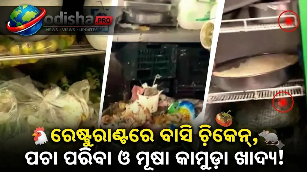 ରେଷ୍ଟୁରାଣ୍ଟରେ ବାସି ଚିକେନ୍, ପଚା ପରିବା ଓ ମୂଷା କାମୁଡ଼ା ଖାଦ୍ୟ! ମାଲିକଙ୍କୁ ୧୪ ଦିନିଆ ନୋଟିସ୍