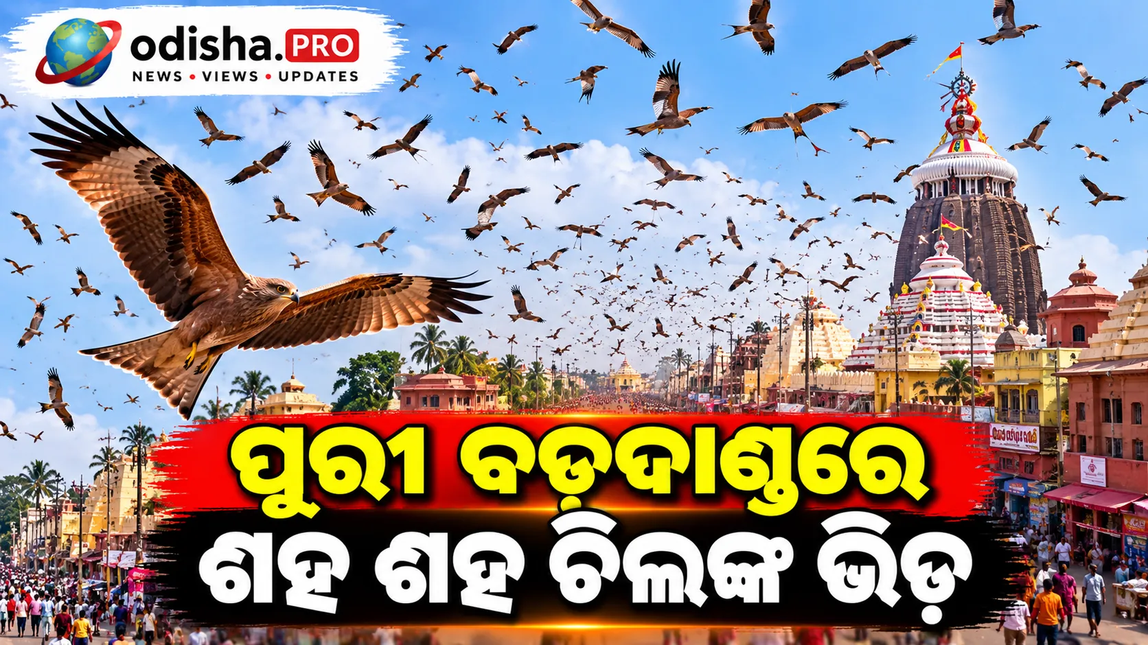 ପୁରୀ ବଡ଼ଦାଣ୍ଡରେ ଶହ ଶହ ଚିଲଙ୍କ ଭିଡ଼, ରାସ୍ତା ଉପରେ ଏଭଳି ଦୃଶ୍ୟ ଦେଖି ଅଟକିଗଲେ ଲୋକେ!