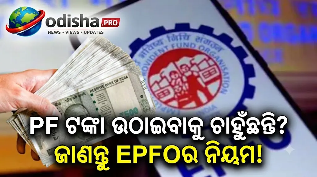 କେତେଥର ଉଠାଇପାରିବେ PF ଟଙ୍କା? ଚିକିତ୍ସା, ପାଠପଢ଼ା, ବିବାହ ଓ ଘର ପାଇଁ ଜାଣନ୍ତୁ EPFO ନିୟମ