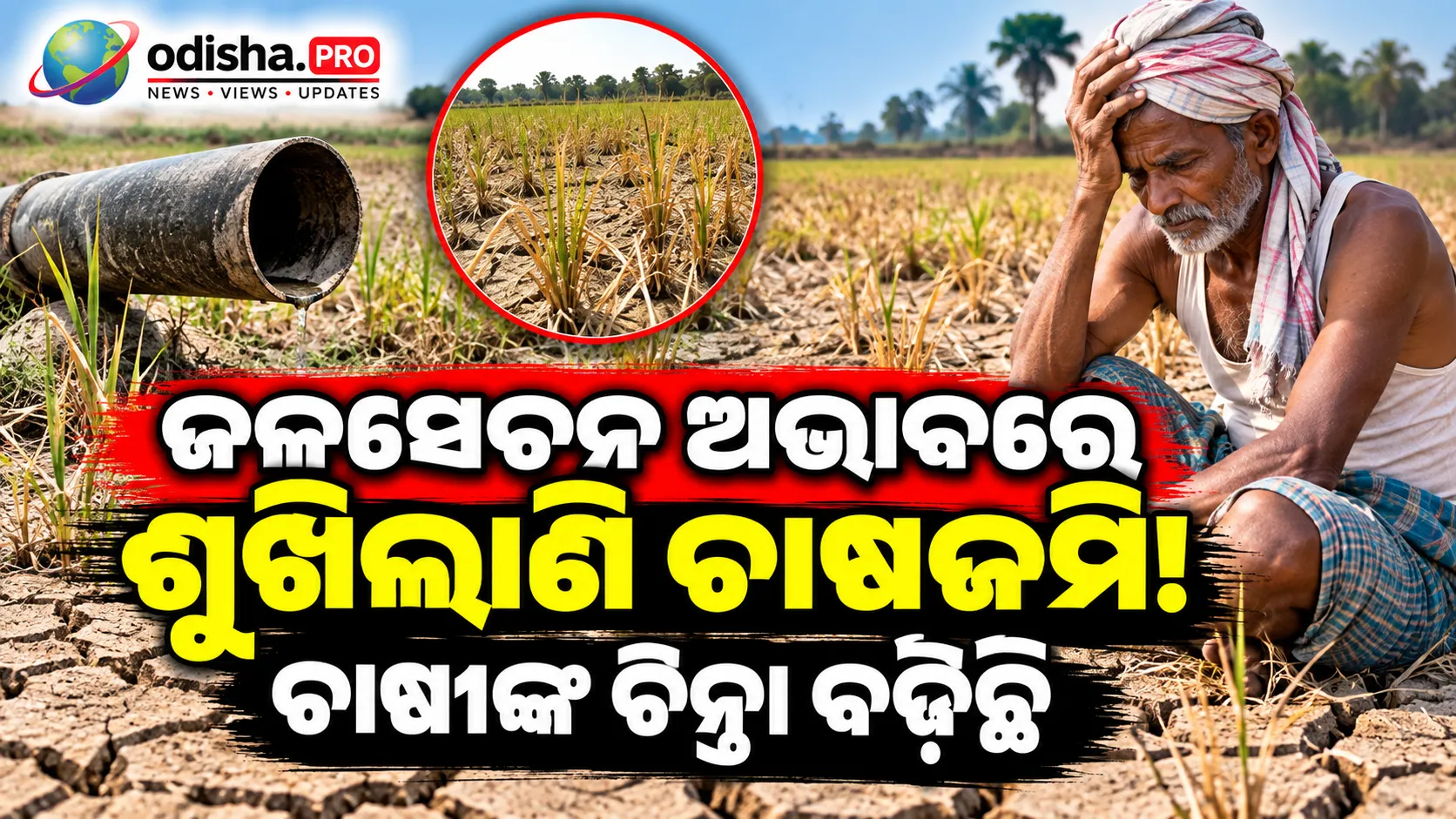 ଜଳସେଚନ ଅଭାବରେ ଶୁଖିଲାଣି ଚାଷଜମି, ଫସଲ ନଷ୍ଟ ଆଶଙ୍କାରେ ଚାଷୀ