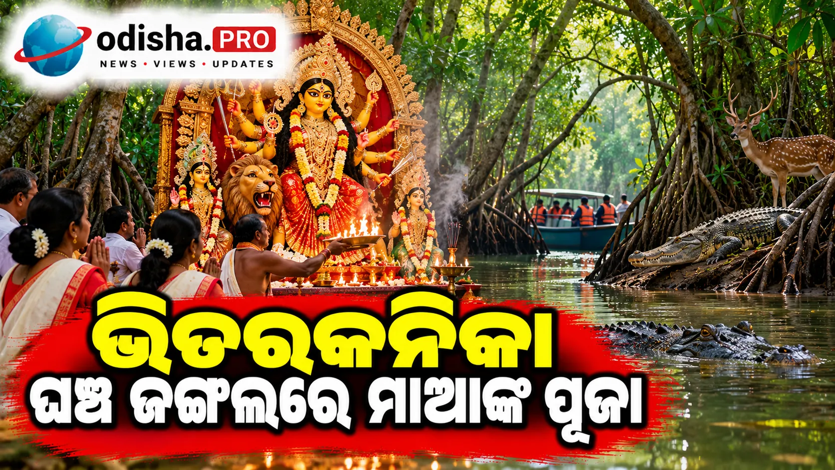 ଭିତରକନିକା ଘଞ୍ଚ ଜଙ୍ଗଲରେ ମାଆଙ୍କ ପୂଜା: ପ୍ରକୃତି କୋଳରେ ଦୁର୍ଗାପୂଜାର ନିଆରା ପରମ୍ପରା