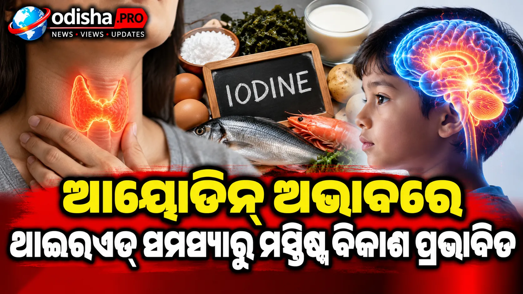 ଆୟୋଡିନ୍‌ ଅଭାବରେ ଥାଇରଏଡ୍‌ ସମସ୍ୟାରୁ ମସ୍ତିଷ୍କ ବିକାଶ ପ୍ରଭାବିତ; ଜାଣନ୍ତୁ ଲକ୍ଷଣ ଓ ପ୍ରତିରୋଧ ଉପାୟ
