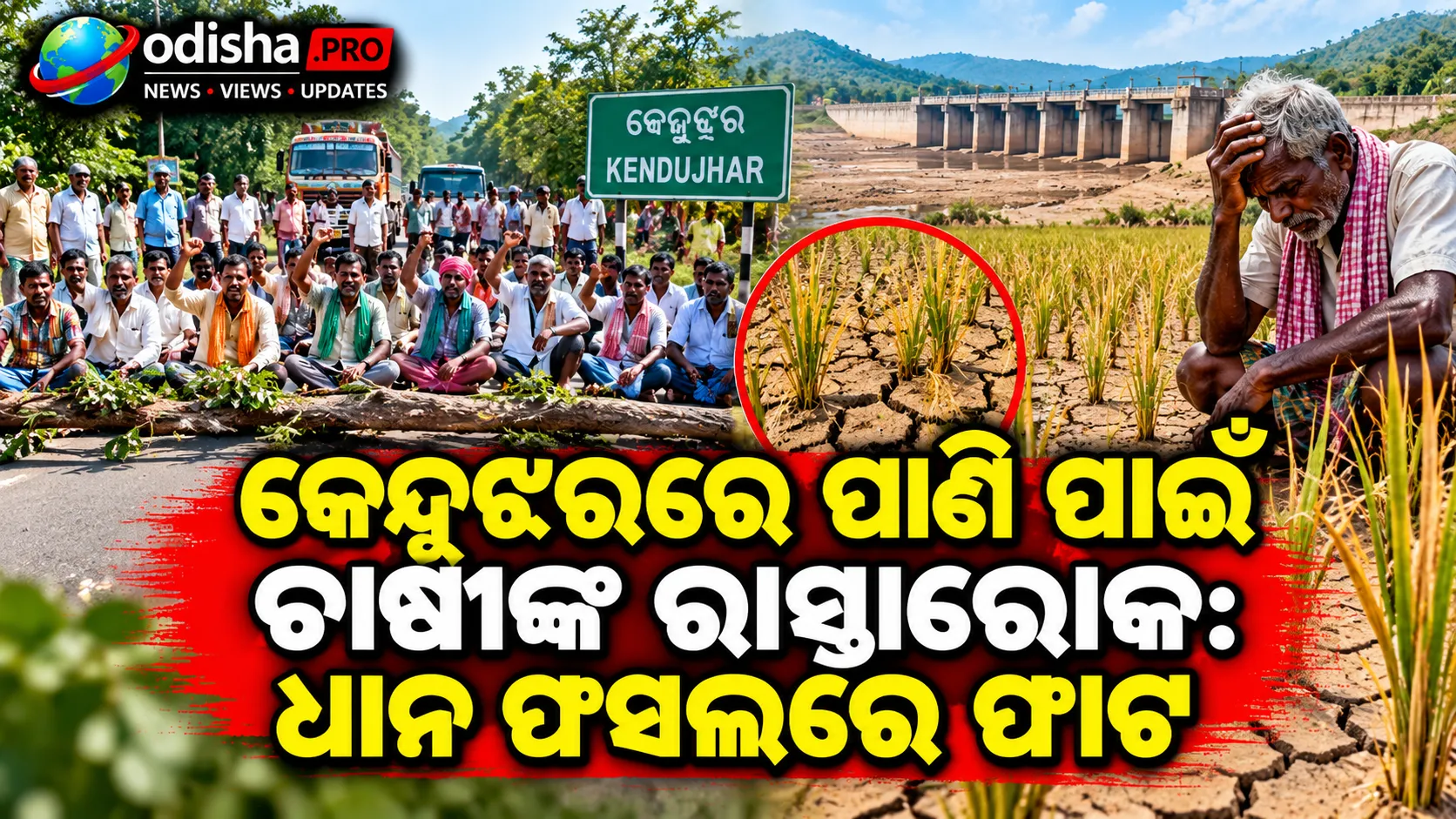 କେନ୍ଦୁଝରରେ ପାଣି ପାଇଁ ଚାଷୀଙ୍କ ରାସ୍ତାରୋକ: ଧାନ ଫସଲରେ ଫାଟ, ୫୦୦ ହେକ୍ଟର ଜମି ପ୍ରଭାବିତ