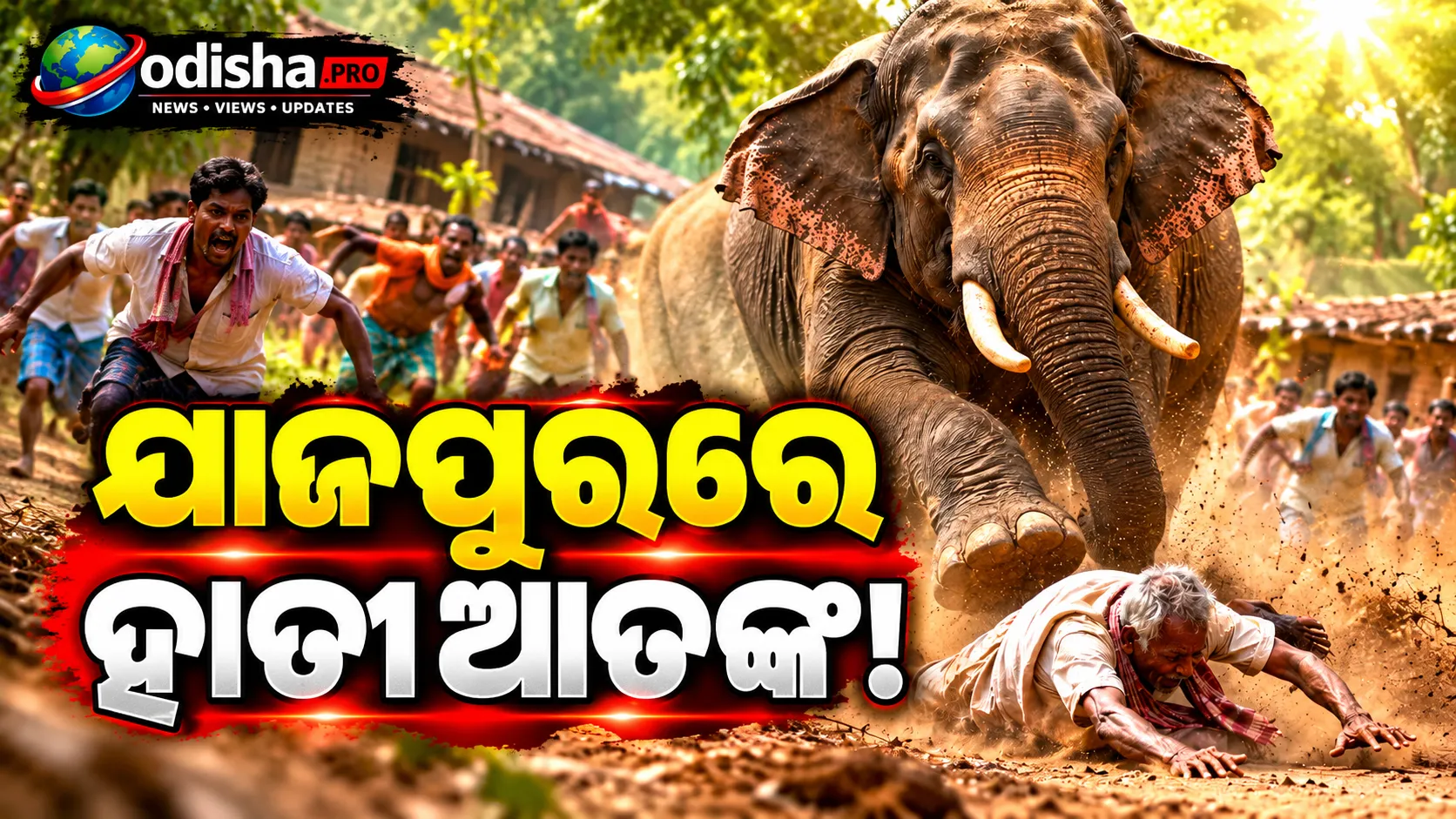 ଯାଜପୁରରେ ହାତୀ ଆତଙ୍କ: ଘରୁ ବାହାରିବା ବେଳେ ବୃଦ୍ଧଙ୍କୁ ଆକ୍ରମଣ, ମୃତ୍ୟୁ
