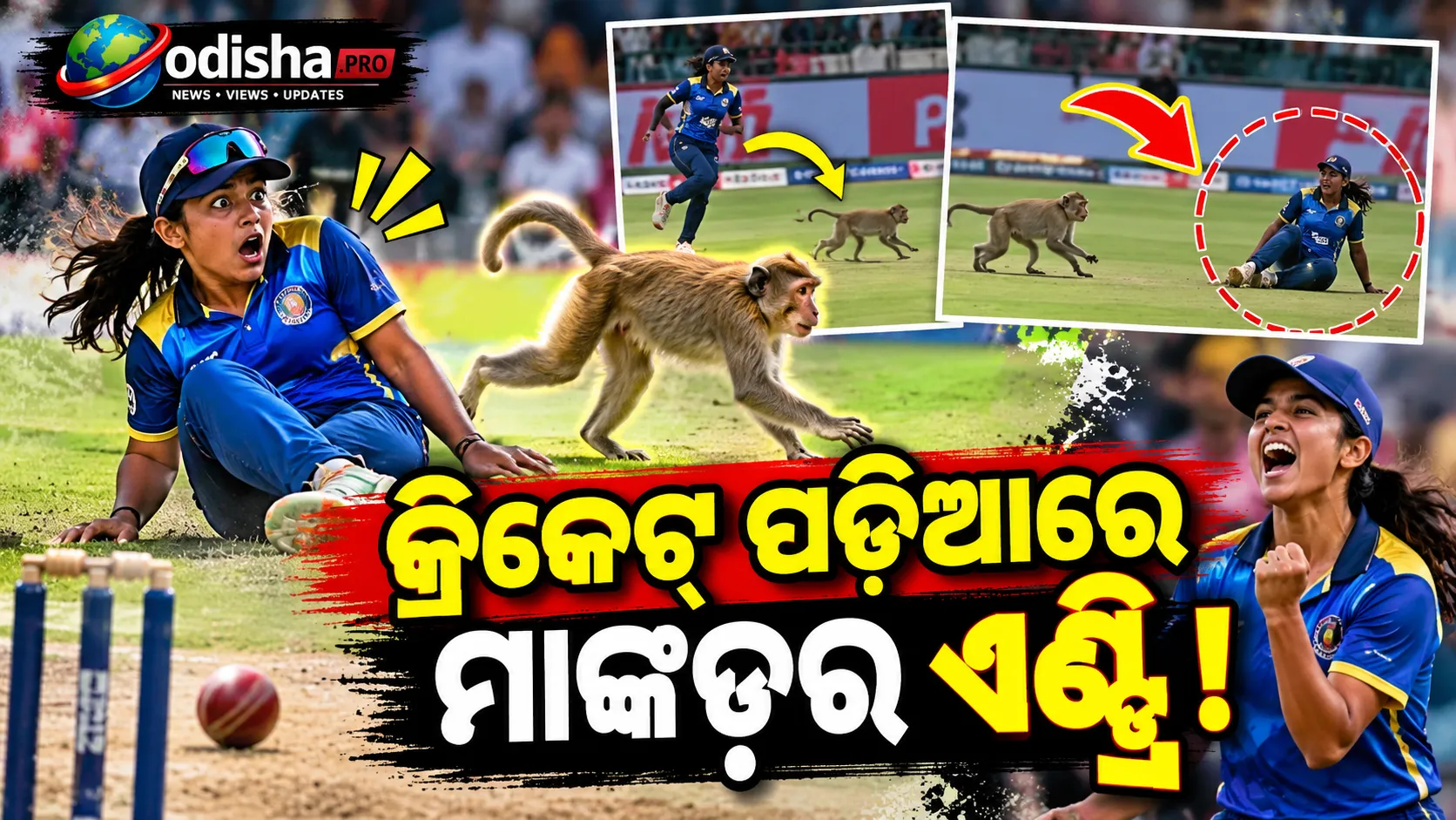 କ୍ରିକେଟ୍ ମ୍ୟାଚ୍‌ରେ ହଠାତ୍ ମାଙ୍କଡ଼, ଭୟରେ ଦୌଡ଼ିଲେ ଉମା କଶ୍ୱୀ; ପରେ ବୋଲିଂରେ କଲେ କମାଲ୍!
