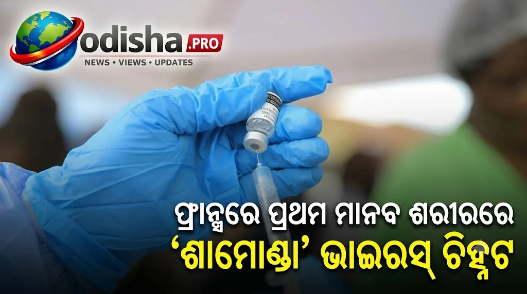 ଫ୍ରାନ୍ସରେ ପ୍ରଥମ ମାନବ ଶରୀରରେ ‘ଶାମୋଣ୍ଡା’ ଭାଇରସ୍ ଚିହ୍ନଟ, ରୋଗୀଙ୍କ ମୃତ୍ୟୁ ପରେ ବଢ଼ିଲା ଚିନ୍ତା