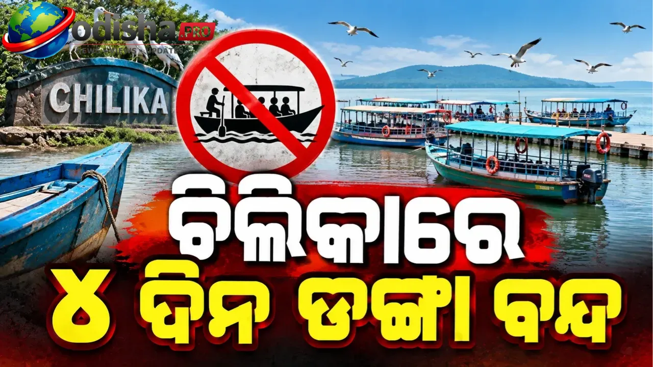 ଚିଲିକାରେ ୪ ଦିନ ବନ୍ଦ ରହିବ ଡଙ୍ଗା ଚଳାଚଳ! ନିୟମ ନମାନିଲେ ହେବ କଠୋର କାର୍ଯ୍ୟାନୁଷ୍ଠାନ