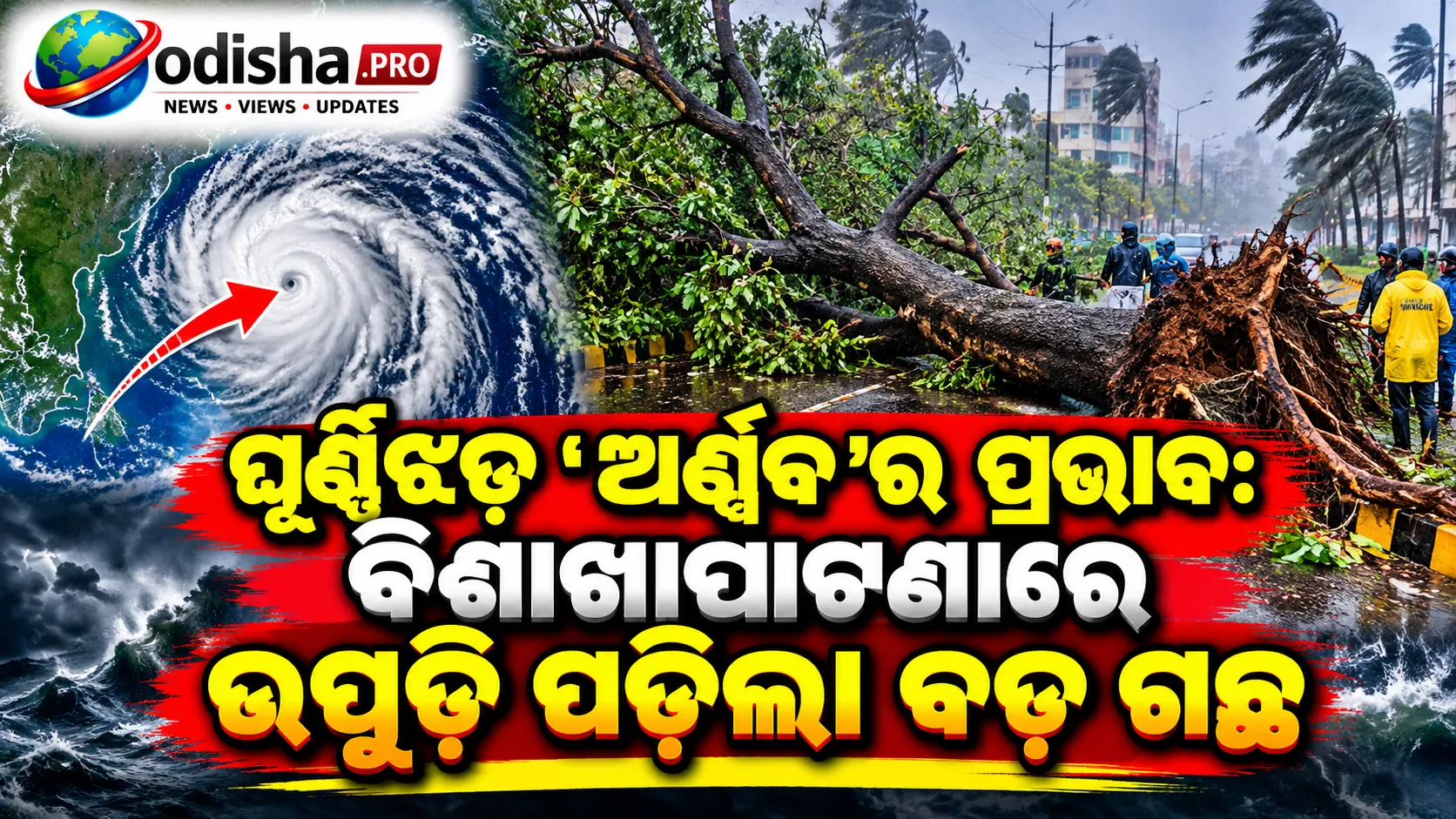 ଘୂର୍ଣ୍ଣିଝଡ଼ ‘ଅର୍ଣ୍ଣବ’ର ପ୍ରଭାବ: ବିଶାଖାପାଟଣାରେ ଉପୁଡ଼ି ପଡ଼ିଲା ବଡ଼ ଗଛ