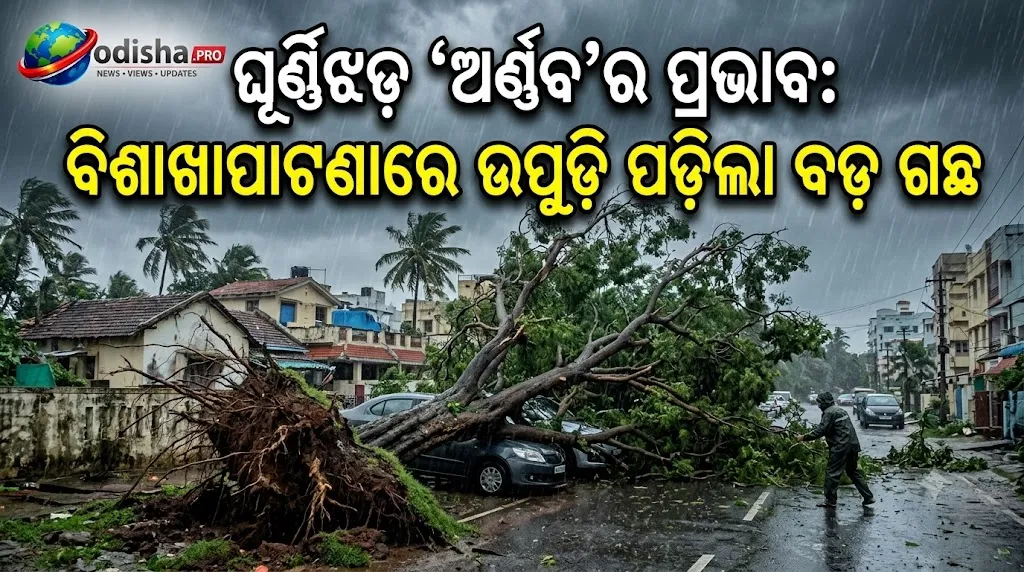 ଘୂର୍ଣ୍ଣିଝଡ଼ ‘ଅର୍ଣ୍ଣବ’ର ପ୍ରଭାବ: ବିଶାଖାପାଟଣାରେ ଉପୁଡ଼ି ପଡ଼ିଲା ବଡ଼ ଗଛ