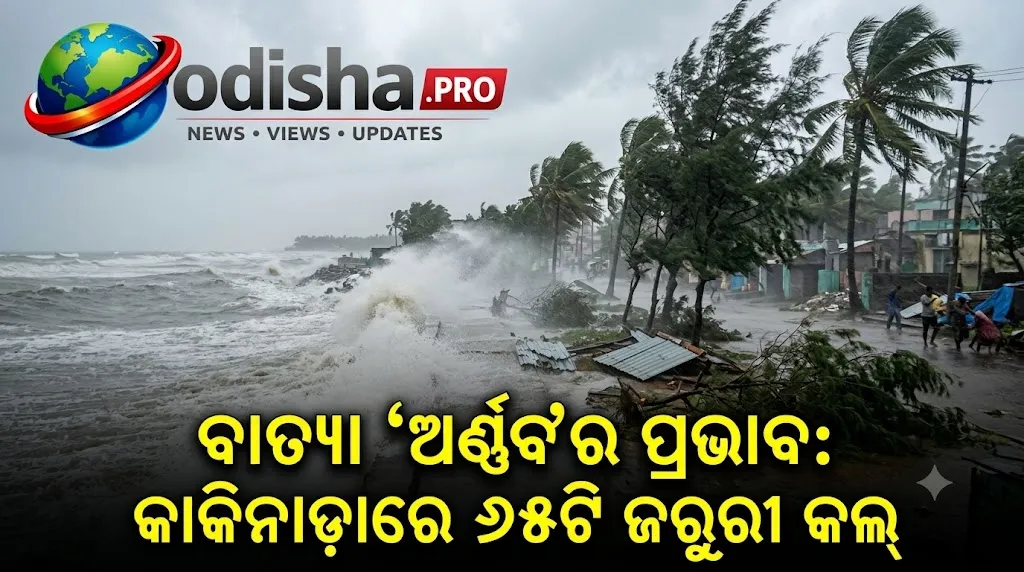 ବାତ୍ୟା ‘ଅର୍ଣ୍ଣବ’ର ପ୍ରଭାବ: କାକିନାଡ଼ାରେ ୬୫ଟି ଜରୁରୀ କଲ୍, ରାସ୍ତାରୁ ଉପୁଡ଼ା ଗଛ ହଟାଇଲା ଅଗ୍ନିଶମ ବାହିନୀ