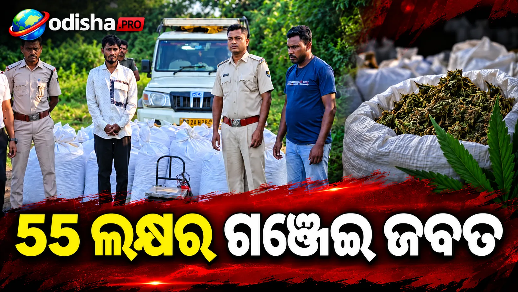 ୫ କ୍ୱିଣ୍ଟାଲରୁ ଅଧିକ ଗଞ୍ଜେଇ ଜବତ: ଛତିଶଗଡ଼କୁ ଚାଲାଣ ବେଳେ ପିକଅପ୍ ଭ୍ୟାନ୍ ଧରିଲା ମାଛକୁଣ୍ଡ ପୋଲିସ