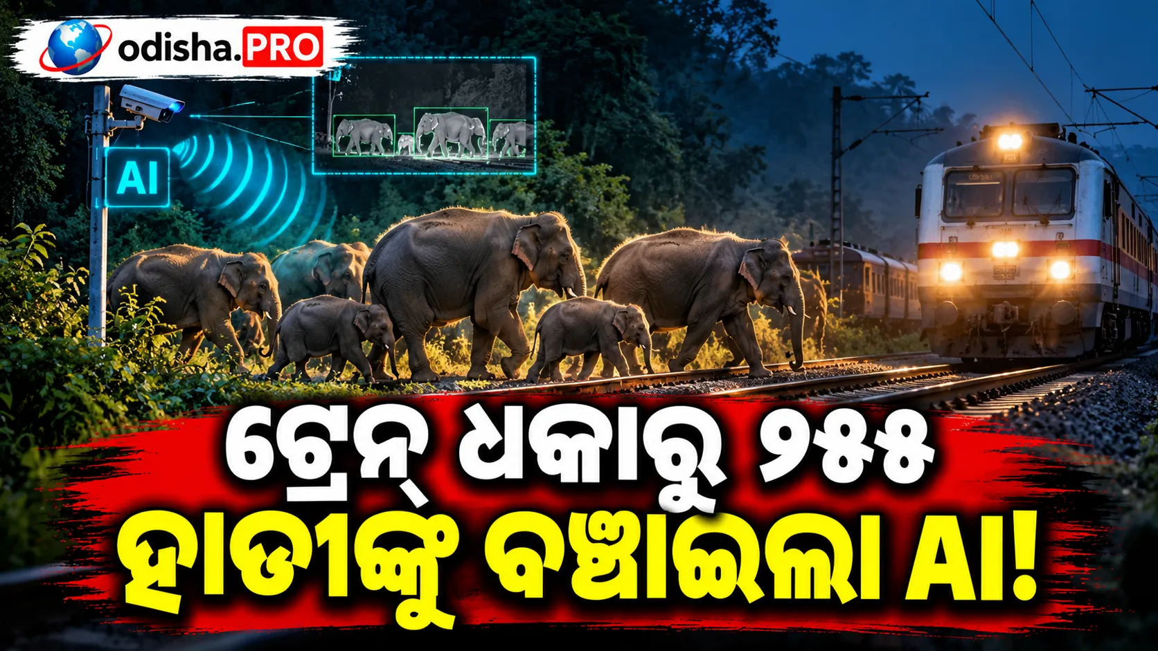 ଟ୍ରେନ୍ ଧକ୍କାରୁ ୨୫୫ ହାତୀଙ୍କୁ ବଞ୍ଚାଇଲା AI! ‘ପ୍ଲାନ୍ ବି’ ସହ ରେଳବାଇର ନୂଆ ପ୍ରୟାସ