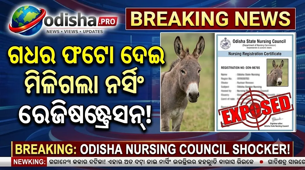 ଗଧର ଫଟୋ ଦେଇ ମିଳିଗଲା ନର୍ସିଂ ରେଜିଷ୍ଟ୍ରେସନ୍! ‘ଡଙ୍କି ଫାଦର’ ନାଁରେ ଆବେଦନ, ଅନଲାଇନ୍ ସିଷ୍ଟମ୍‌କୁ ନେଇ ଉଠିଲା ବଡ଼ ପ୍ରଶ୍ନ