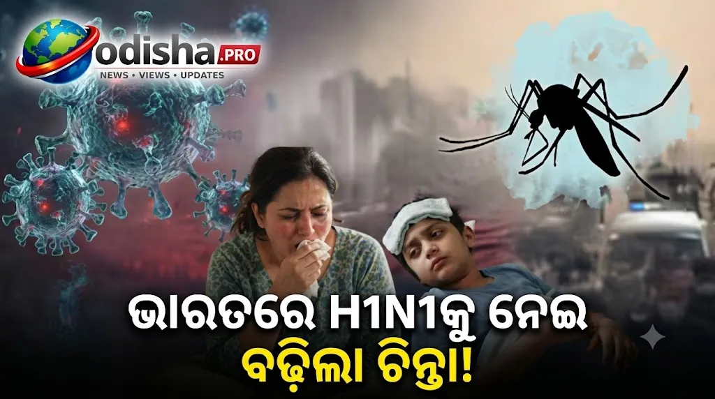 ଭାରତରେ H1N1 ଫ୍ଲୁ ନେଇ ବଢ଼ିଲା ଚିନ୍ତା: ୭୫% ପଜିଟିଭ୍ ଫ୍ଲୁ ନମୁନାରେ H1N1, ଡେଙ୍ଗୁ ବି ବଢ଼ାଉଛି ଚିନ୍ତା