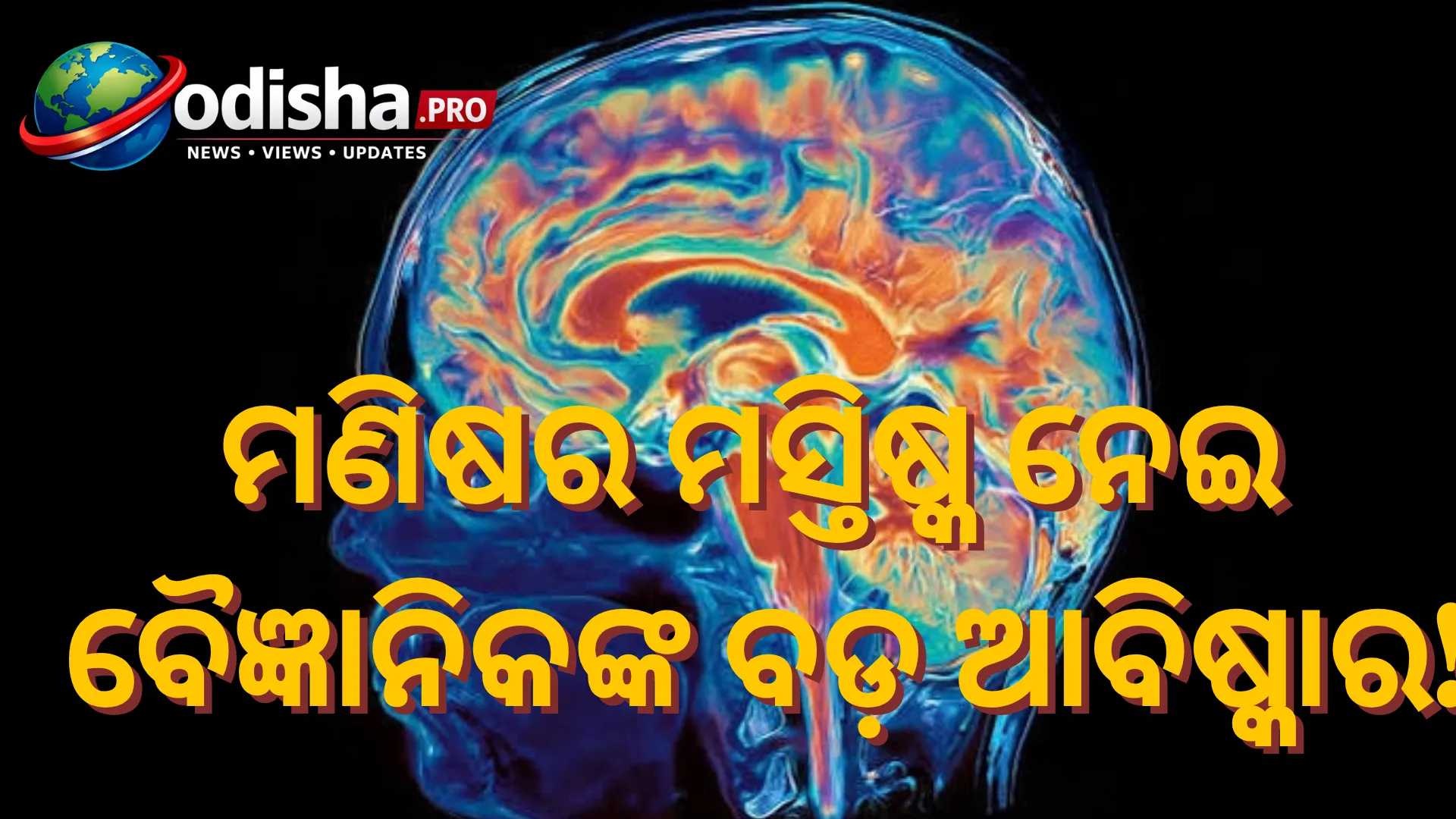 ମଣିଷର ମସ୍ତିଷ୍କ ଗୋଟିଏ ନୁହେଁ, ଦୁଇଟି ଅଲଗା ଅଙ୍ଗର ସମାହାର! ୫୫୦ ନିୟୁତ ବର୍ଷ ପୁରୁଣା ରହସ୍ୟ ଖୋଲିଲା