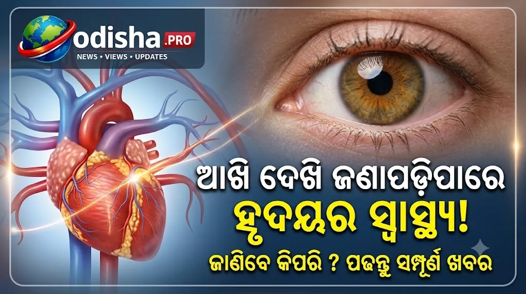 ଆଖି ଦେଖି ଜଣାପଡ଼ିପାରେ ହୃଦୟର ସ୍ୱାସ୍ଥ୍ୟ! Retina Scanରୁ ଭବିଷ୍ୟତର Heart Risk ଚିହ୍ନଟ ନେଇ ବଡ଼ ଗବେଷଣା