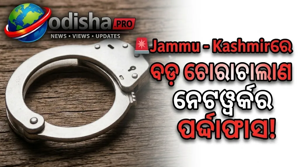 ଜମ୍ମୁ-କଶ୍ମୀରରେ ସୀମାପାର ଡ୍ରୋନ୍ ଚୋରାଚାଲାଣ ମାମଲା: ଅସ୍ତ୍ର ଓ ନିଶାଦ୍ରବ୍ୟ ଜବତ, ୪ ଗିରଫ