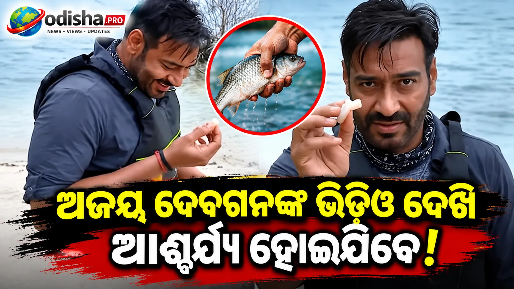 ବେୟାର ଗ୍ରିଲ୍ସଙ୍କ ସର୍ଭାଇଭାଲ୍ ଶୋ’ରେ କଞ୍ଚା ମାଛ ଖାଇଲେ ଅଜୟ ଦେବଗନ୍‌, ଭିଡିଓ ହେଉଛି ଭାଇରାଲ୍