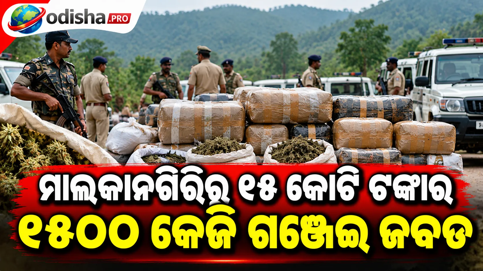 ମାଲକାନଗିରିରୁ ୧୫ କୋଟି ଟଙ୍କାର ୧୫୦୦ କେଜି ଗଞ୍ଜେଇ ଜବତ, ଏଯାଏଁ ଗିରଫ ନାହିଁ