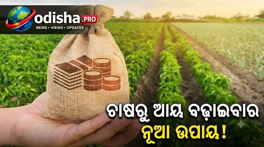 ଚାଷରୁ କୋଟିପତି ହେବାର ସୁଯୋଗ! ଗୋଟିଏ ଜମିରୁ ଏକାଧିକ ଉପାୟରେ ଆୟ ବଢ଼ାଇବାର ମଡେଲ୍