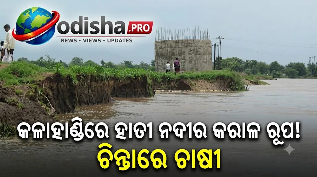କଳାହାଣ୍ଡିରେ ହାତୀ ନଦୀର କରାଳ ରୂପ! ନଦୀକୂଳ କ୍ଷୟରେ ଚାଷଜମି ନଷ୍ଟ ହେବା ଆଶଙ୍କା