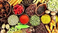 Food Adulteration in India: Odisha Safer Than Many States, but Is Testing Enough?