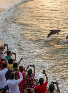 Dolphins Spotted Off Puri Coast After Sea Snail Phenomenon, Tourists Left Curious.