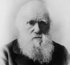 Charles Darwin on Friendship: A True Measure of a Man’s Worth