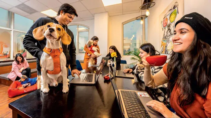 From Job Security to Job Alignment: How Gen Z Is Redefining Work Culture